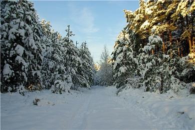 《排水模拟器》Steam页面上线 应对洪水冒险